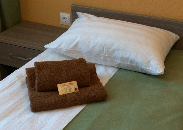 Фото Гостиницы Камелот Псков 217