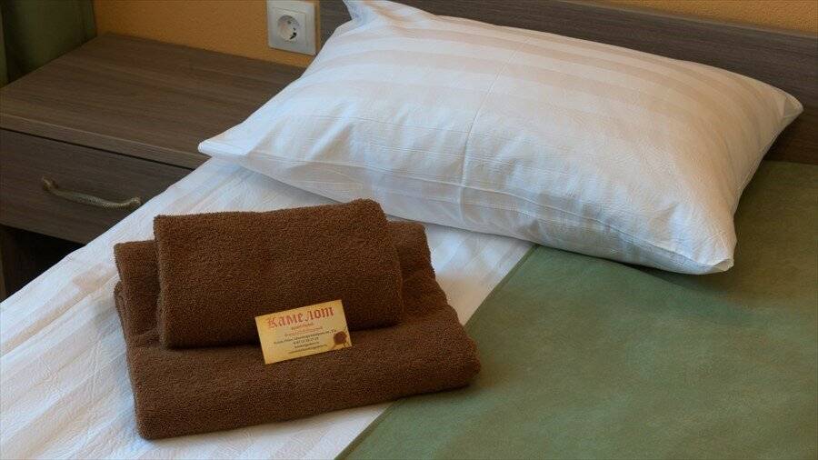 Фото Гостиницы Камелот Псков 12